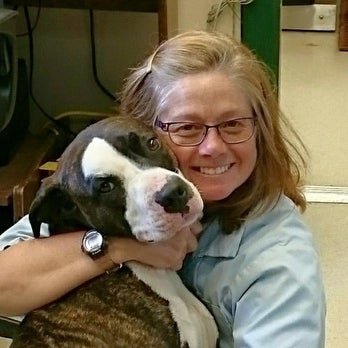 Lisa Berg, DVM Veterinarian photo