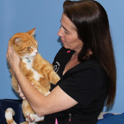 Jen Heide <br/>Veterinary Technician photo