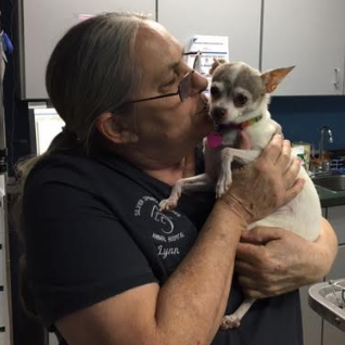 Lynn Curry <br/>Head Veterinary Technician photo